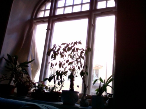fönstret i mitt rum
